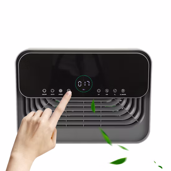 Purificatore d'aria a ioni negativi con generatore di ozono UVC per trattamento delle acque 600 mg/ora