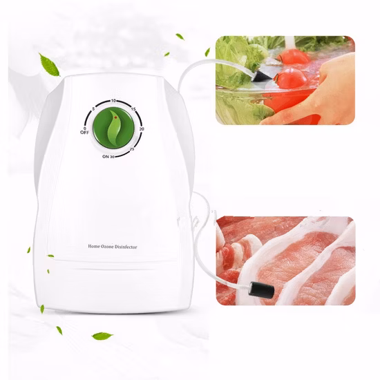 Generatore di ozono con controllo timer da 300 mg/ora, purificatore d'aria e acqua per frutta e verdura